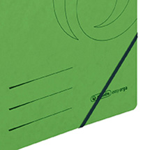 Ordner Ringbuch Mappe Fußball/Fußballspieler für DIN A4 grün Rückenbreite 6 cm 