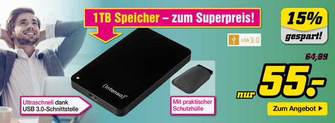 Intenso HDD Memory Drive 1TB